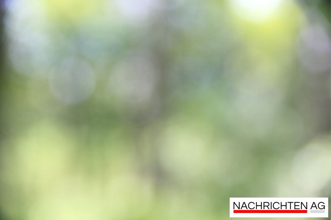Am 24. Mai 2025 triumphiert Wals-Grünau 1b im Abstiegskampf mit einem Last-Minute-Sieg gegen USC Koppl.