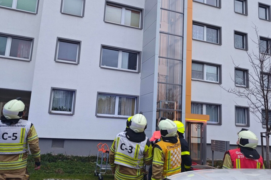 Am 25. November 2025 kam es in Prohlis zu einem Wohnungsbrand. Feuerwehr und Rettungsdienst evakuierten zehn Personen, niemand verletzt.