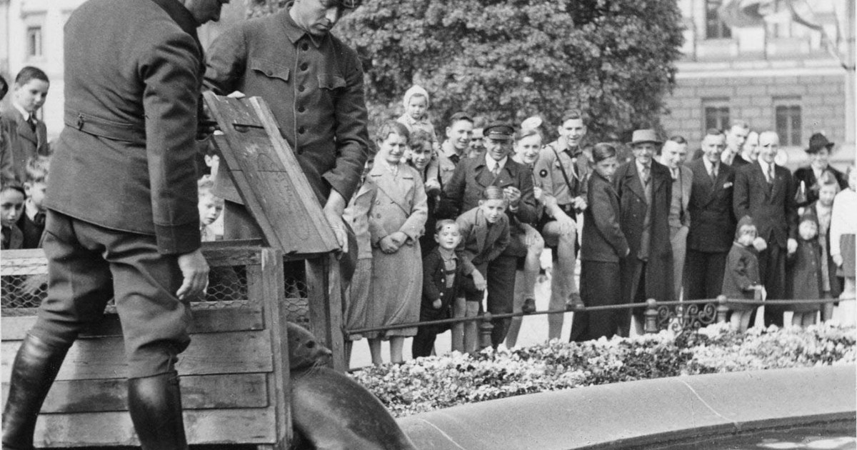 Große Beliebtheit bei der Suche nach Hinweisen im Fotoarchiv – Stadt Leipzig