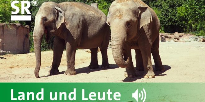 Elefantenreise von Leipzig nach Neunkirchen (Podcast SR 3 Saarlandwelle "Land und Leute")