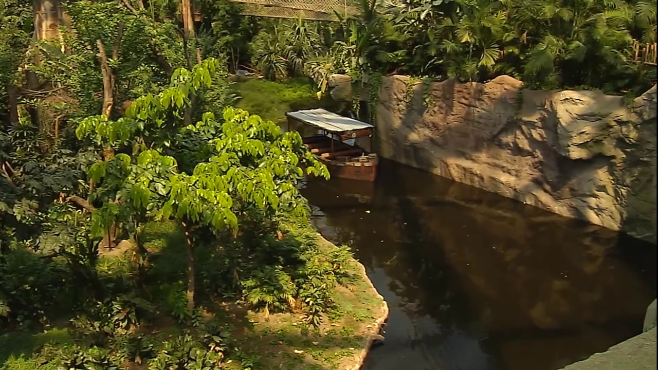 GONDWANALAND tropische Abenteuerwelt im Leipziger Zoo
