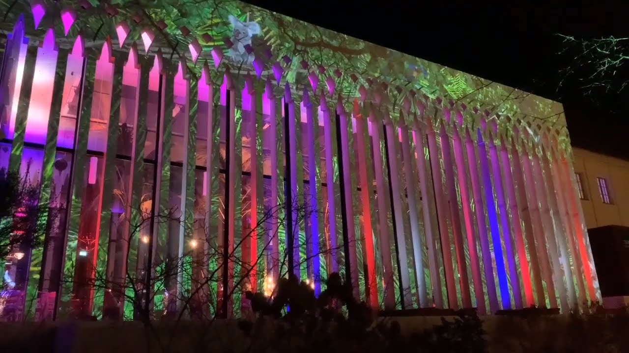 Magisches tropisches Leuchten 2020, Leipziger Zoo