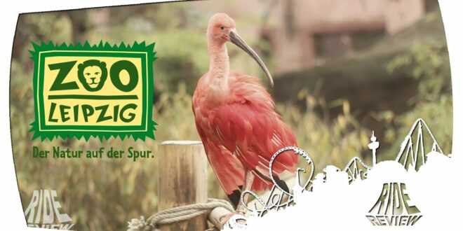 Zoo Leipzig - der Natur auf der Spur