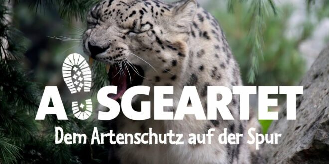 DEGENTS - Folge 5: Mit Maria Raitzig auf den Spuren der Schneeleoparden