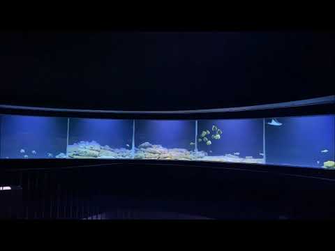 Tauchen Sie ein in das neue Aquarium im Zoo Leipzig