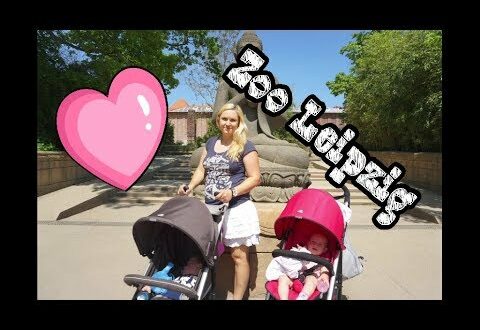 XXXL Vlog Zoo Leipzig mit Baby und Kleinkind im Sommer 2017 |  Bambi und Nemo |  blaue Eier