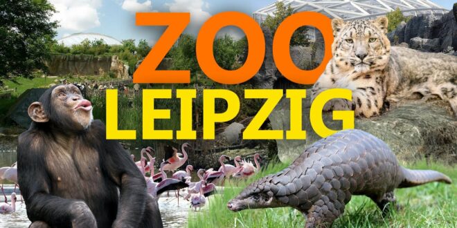 Zoo Leipzig - Der beste Zoo Deutschlands?  |  Zoo-Eindruck