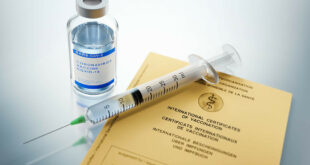 Impfungen mit angepassten Impfstoffen starten auch in Sachsen
