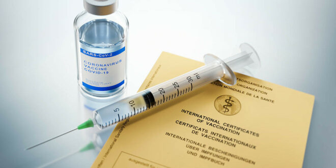 Impfungen mit angepassten Impfstoffen starten auch in Sachsen