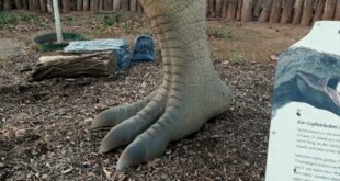 Das gigantische Dinosaurier-Abenteuer Zoo Leipzig Teil 3