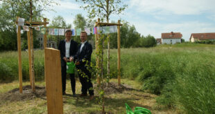 Baum des Jahres: Moor-Birke im Bürgerpark Paunsdorf gewürdigt