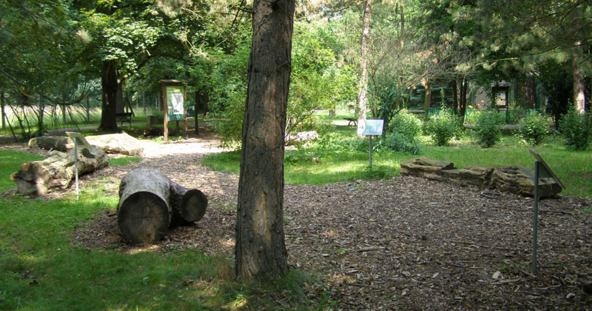 Mühlholz und Wildpark: Waldwege in Connewitz werden saniert