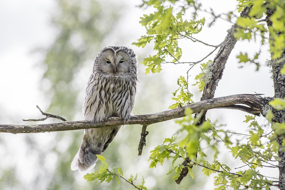 Was Besucher im Agra-Park erwartet