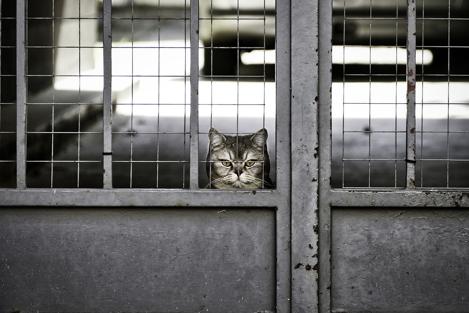 Bestechlichkeit erschüttert Vertrauen in Rechtsstaat