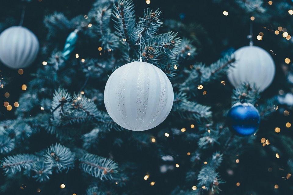 Weihnachtsbäume selbst schlagen: Wo in der Region Döbeln es noch möglich ist – Übersichtskarte mit elf Orten.