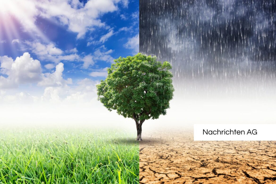 Klimawandel droht: Sachsen kämpft gegen drohende Grundwasserdürre!
