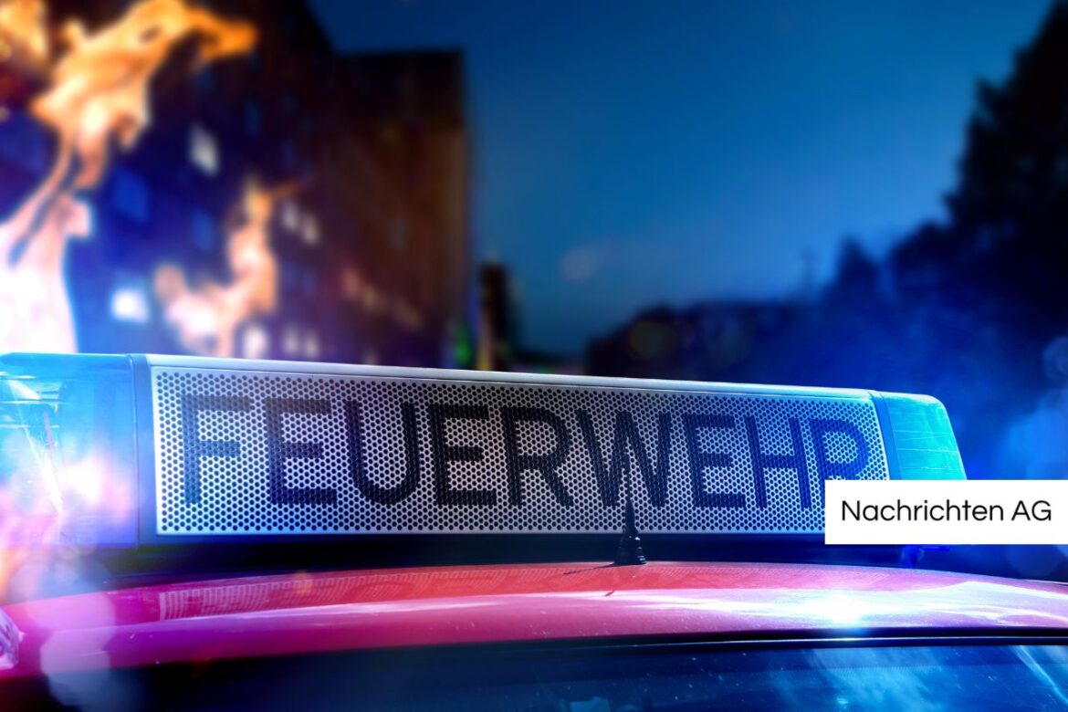 Notrufnummern und Tipps: So reagieren Sie richtig in Notfällen!