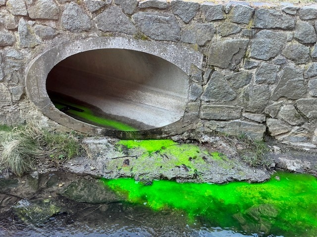 Verfärbungen im Kaitzbach: Feuerwehr Dresden beruhigt die Anwohner!